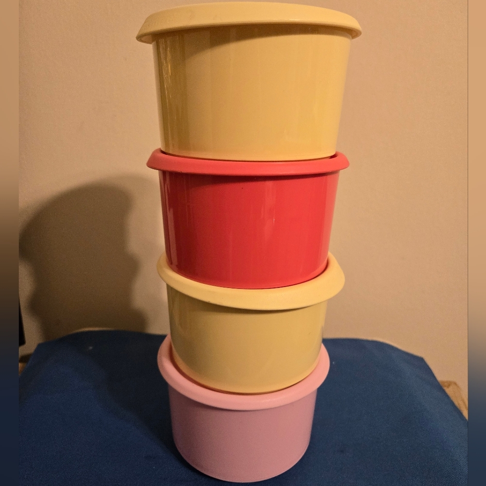 Tupperware Storage Container Set